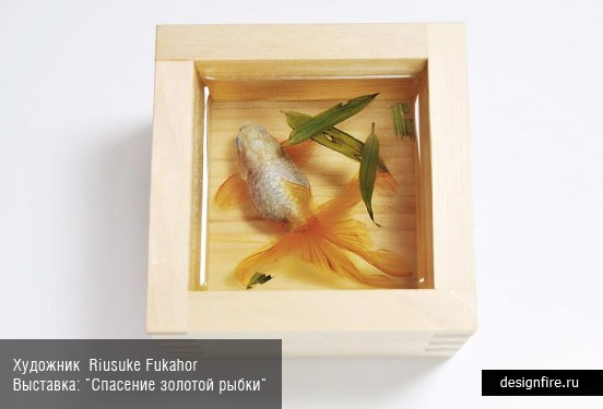 Художник Riusuke Fukahori. Выставка Goldfish Salvation (Спасение золотой рыбки)
