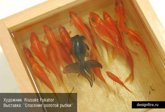 Художник Riusuke Fukahori. Выставка Goldfish Salvation (Спасение золотой рыбки)